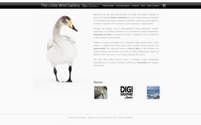 The website for the Little Wild Gallery